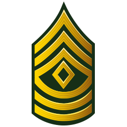 FIRST SERGEANT (1SG)