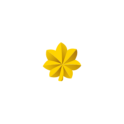 GOLD MAJOR (MAJ) O4