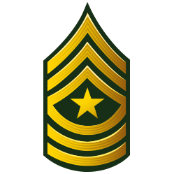 SERGEANT MAJOR (SGM)