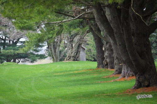 Inaugural Wild Bill Guarnere Golf Outing